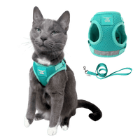 El set de arnés y correa Jackson Galaxy x Travel Cat