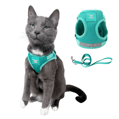 El set de arnés y correa Jackson Galaxy x Travel Cat