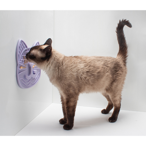 Lick, Treat, Repeat Bundle for Cats