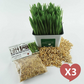 Cat Grass Seed Pack 3x (3 oz total) by Three Farms