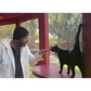 boop Beanie - Jackson Galaxy