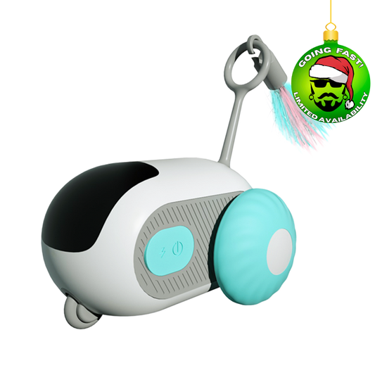 Smart Interactive Car Cat Toy