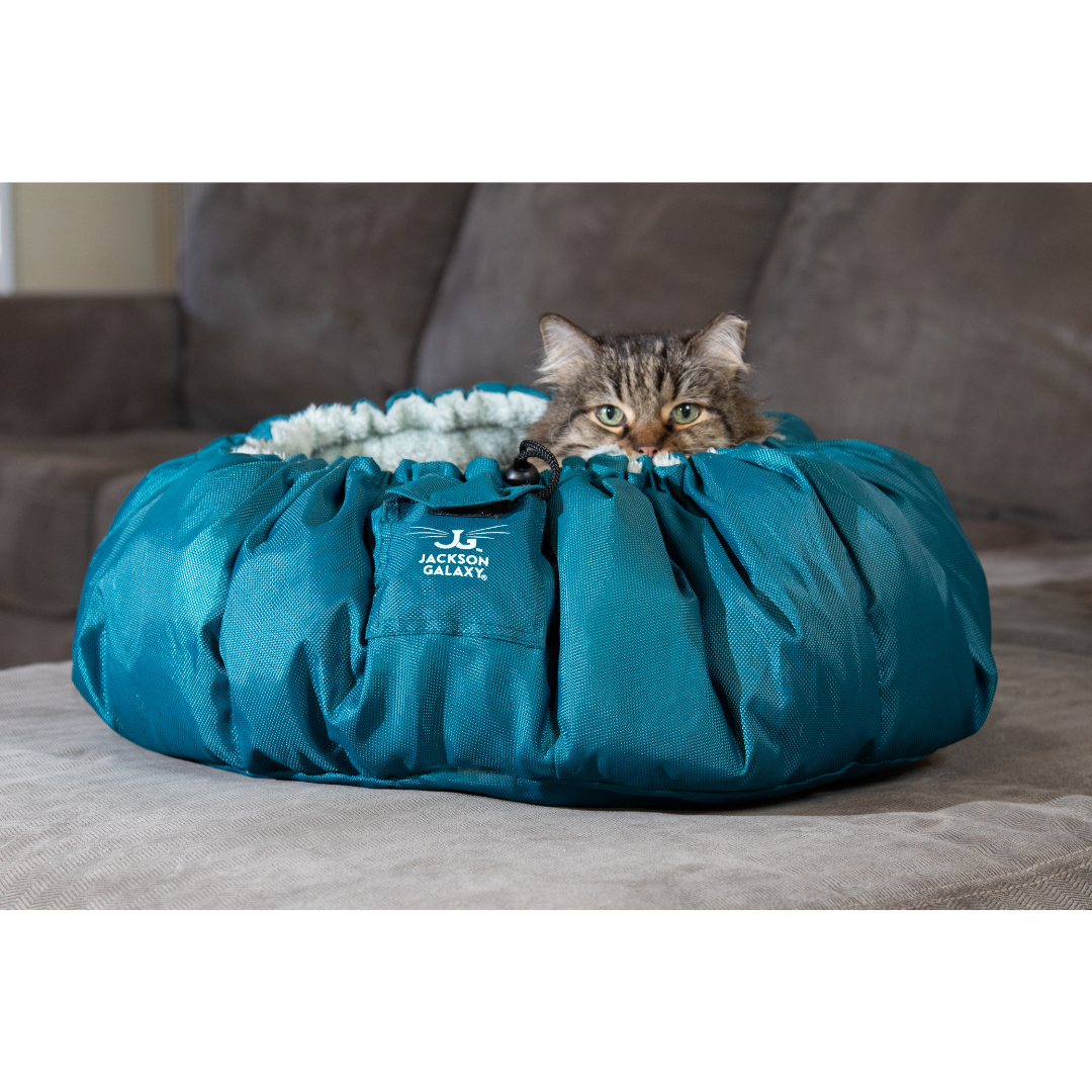 Convertible Clamshell Cat Bed