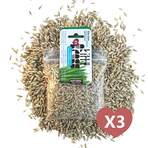 Cat Grass Seed Pack 3x (3 oz total) by Three Farms