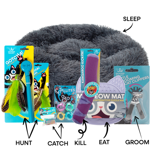 Hunt, Catch, Kill, Eat, Groom, Sleep Bundle