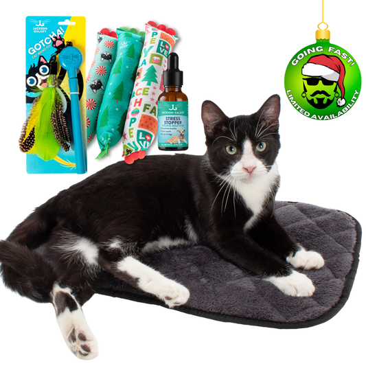 Meowy & Bright: Cat Holiday Stress Relief Bundle 🎁