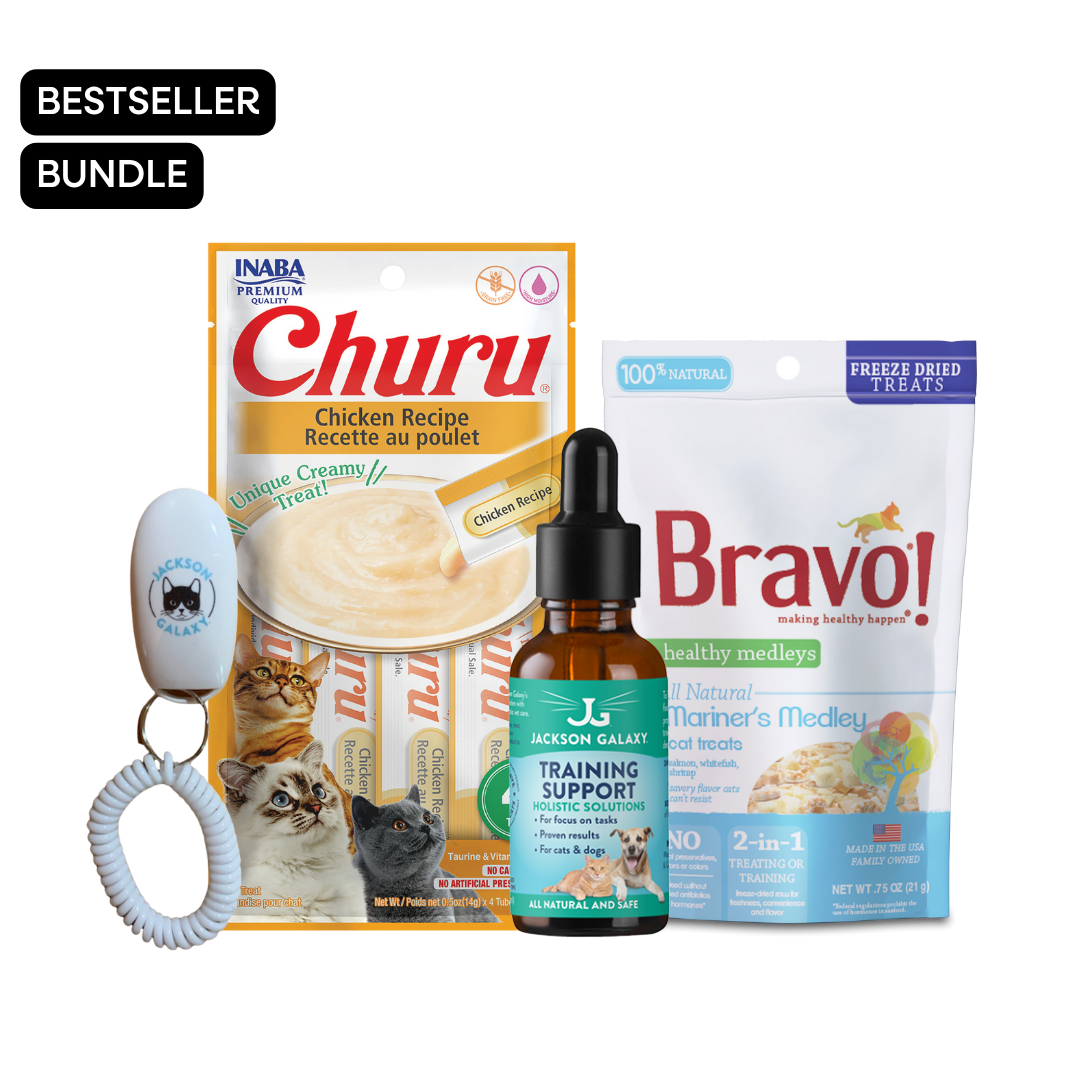 Clicker Training Your Cat Jackson Galaxy