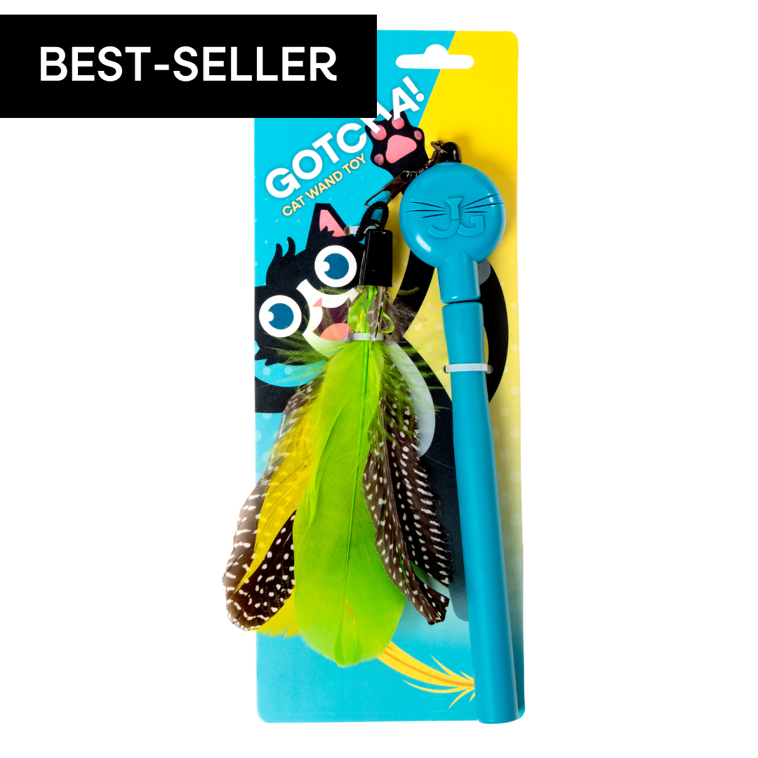 Gotcha!CatWandToy