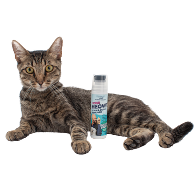 Scrub Meowt! Stain & Odor Remover
