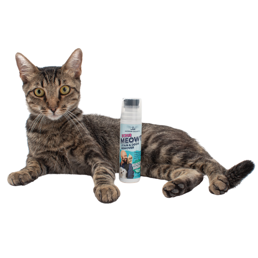 Scrub Meowt! Stain & Odor Remover