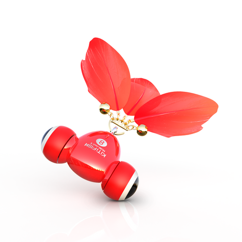 Jackson galaxy go hot sale fish cat toy