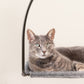 Cloud Nine Window Hammock