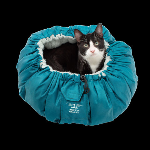 Convertible Clamshell Cat Bed