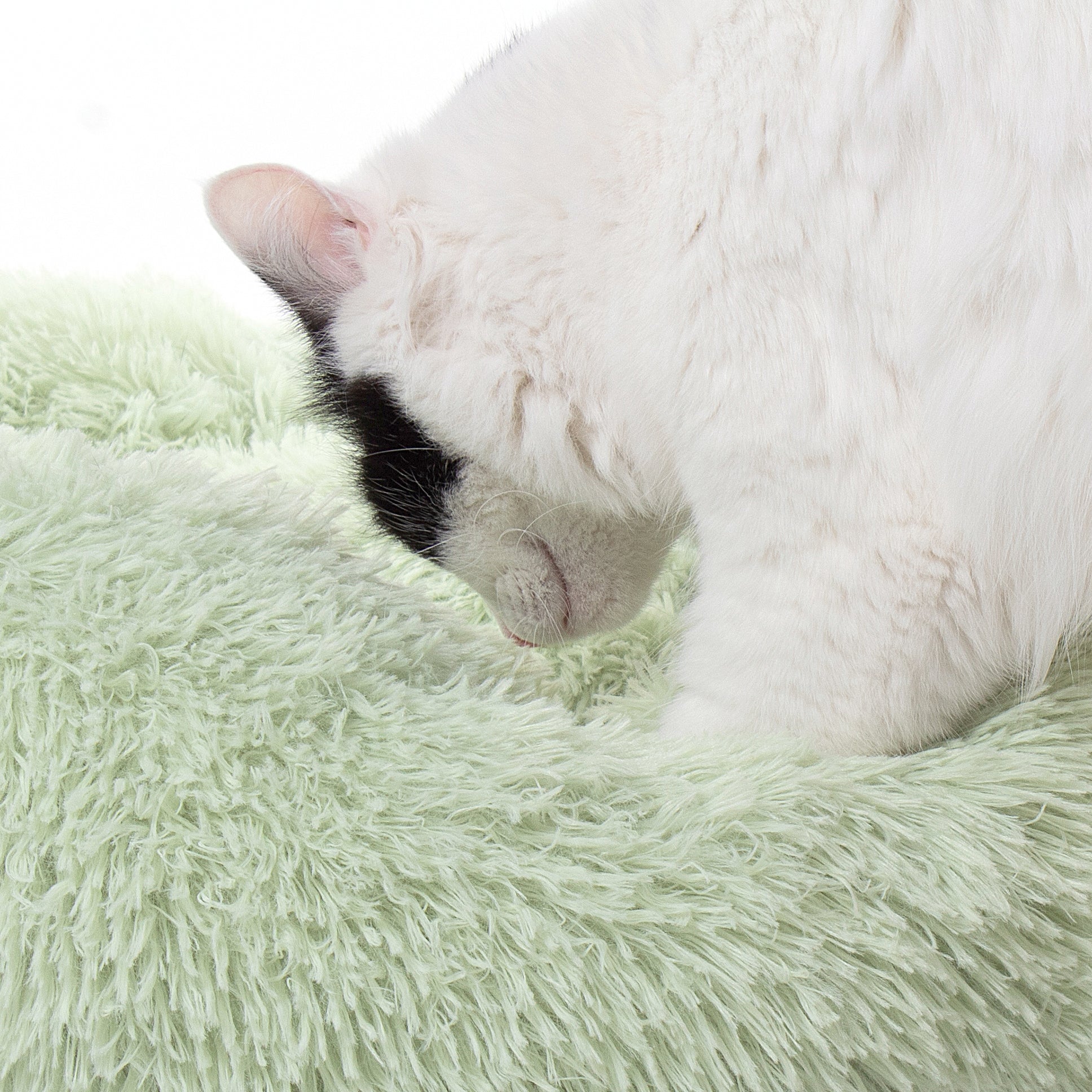 Donut Disturb Cat Bed