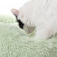 Catnip Catnap Bundle