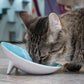 Whiskerware Ceramic Tilted Bowl
