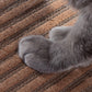 Scratchify! Incline Scratcher by Jackson Galaxy