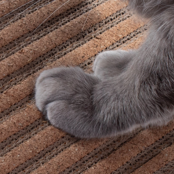 Scratchify! Incline Scratcher by Jackson Galaxy