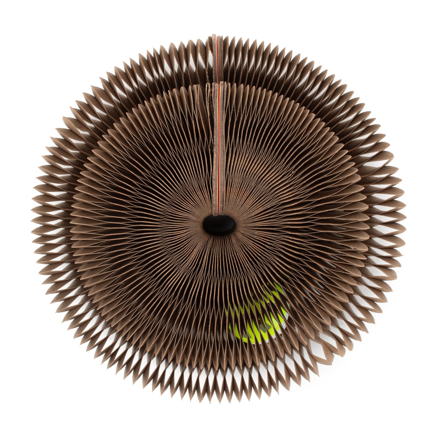 Cardboard Accordion Cat Toy