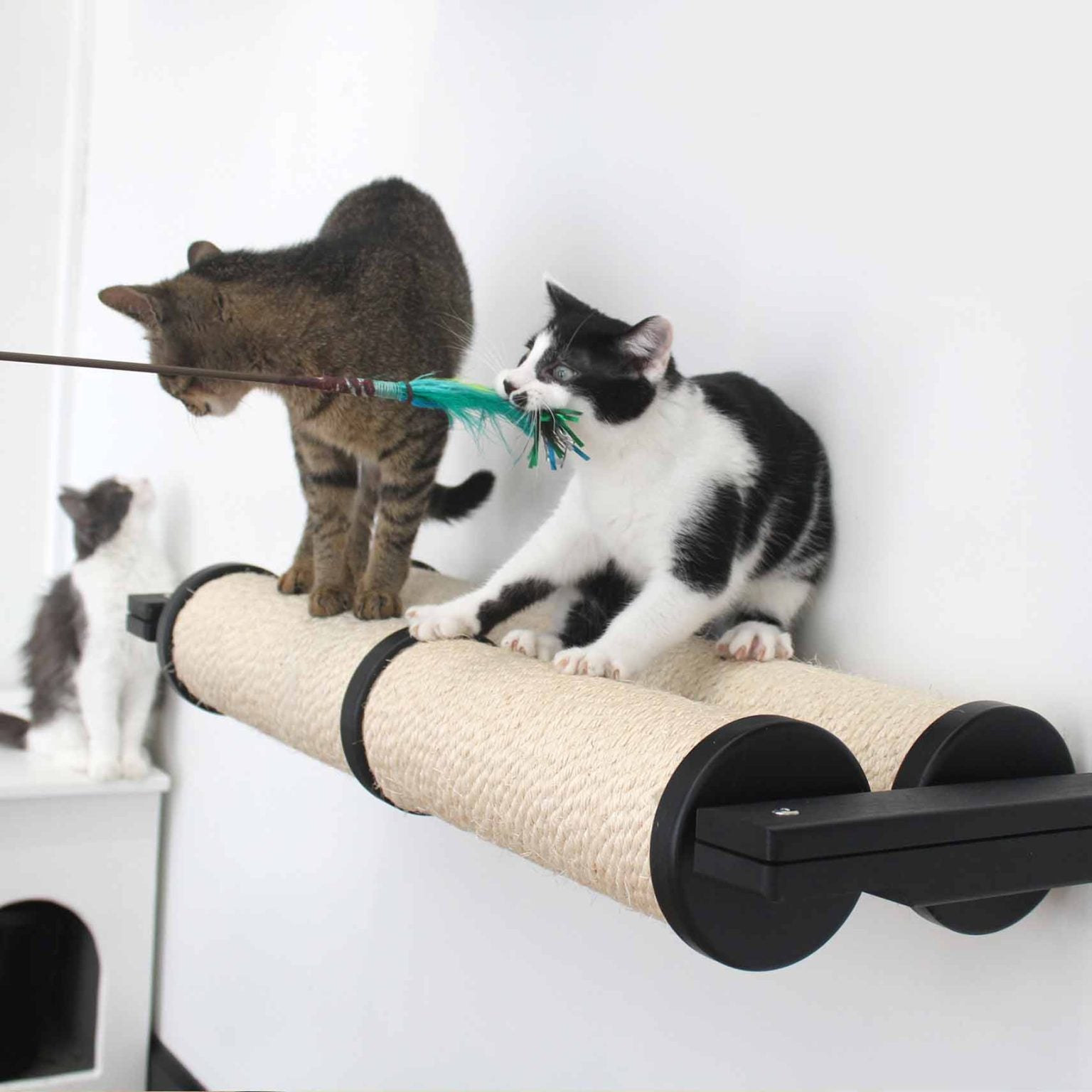 Horizontal Scratching Post (Cat Wall Scratcher) by Catastrophic Creations