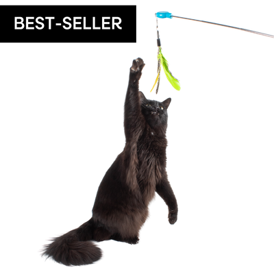 Gotcha! Cat Wand Toy