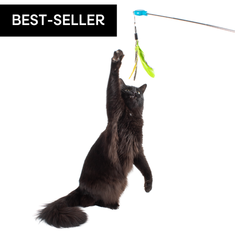 Gotcha! Cat Wand Toy