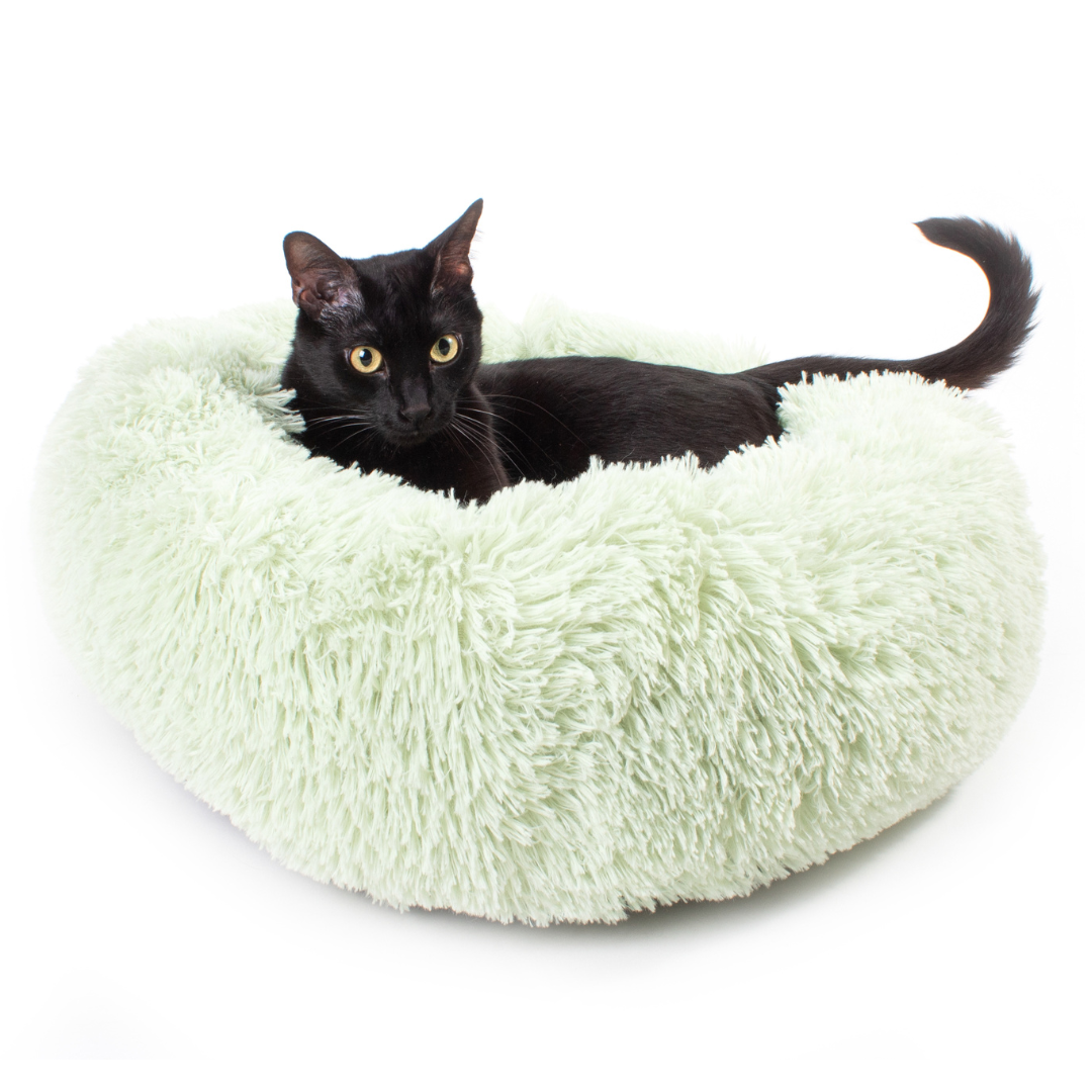 Catnip Catnap Bundle