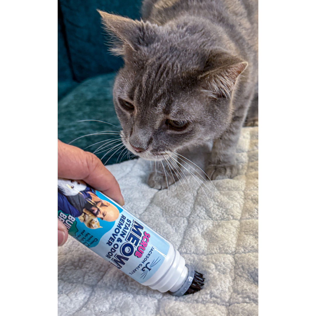 Scrub Meowt! Stain & Odor Remover