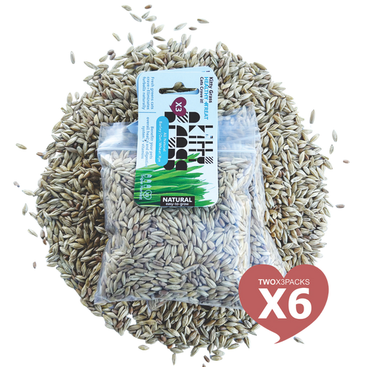 Cat Grass Seed Pack 6x (6 oz total) by Three Farms