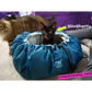 Convertible Clamshell Cat Bed