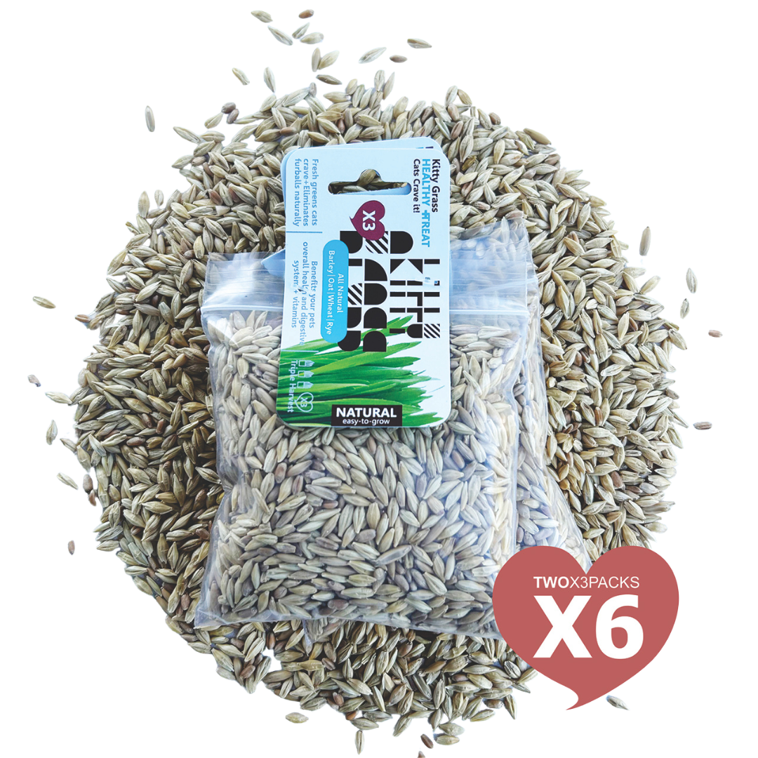 Cat Grass Seed Pack 6x (6 oz total) by Three Farms