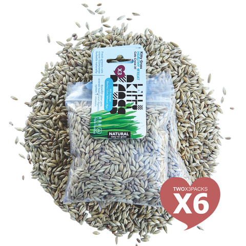 Cat Grass Seed Pack 6x (6 oz total) by Three Farms