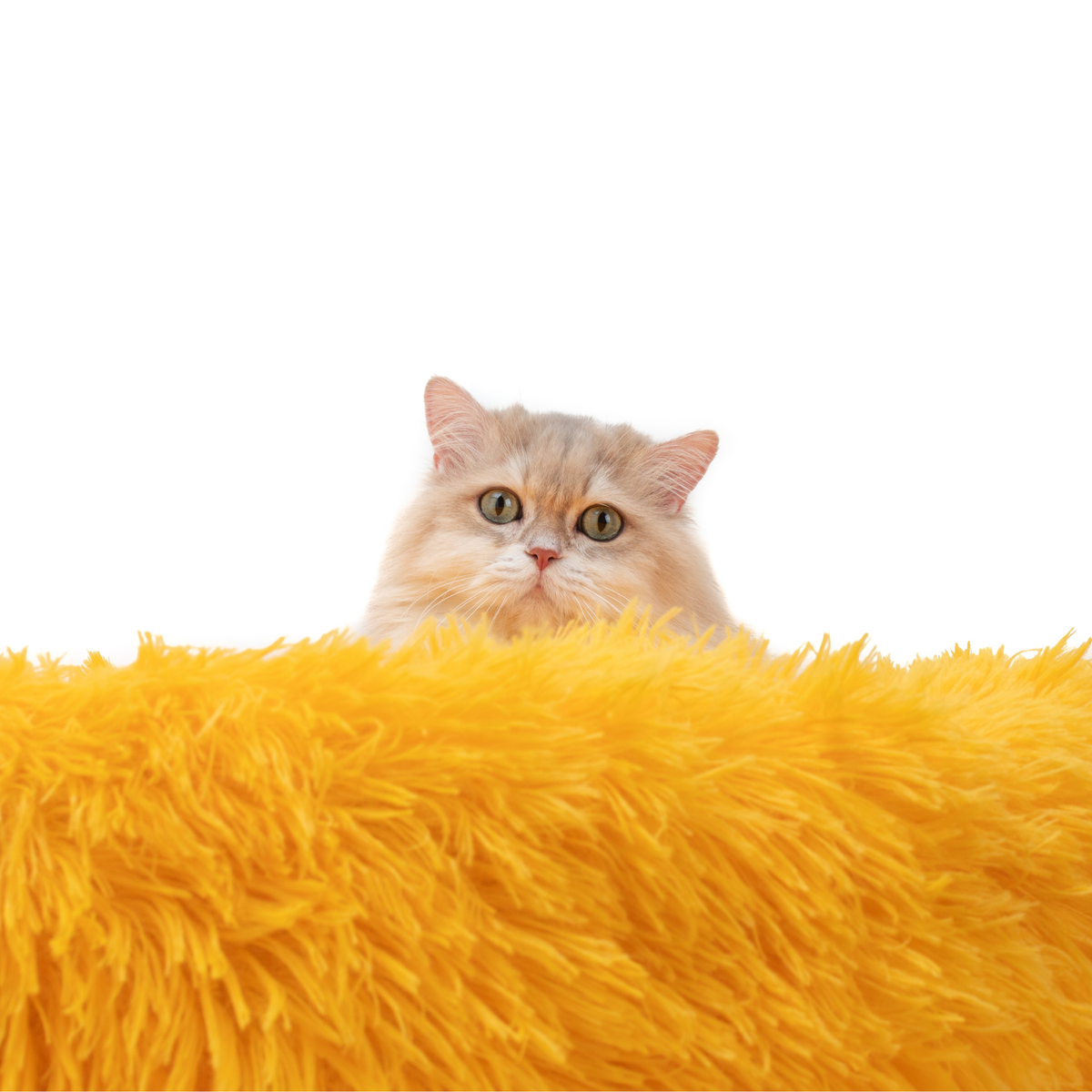 Donut Disturb Cat Bed