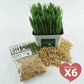 Cat Grass Seed Pack 6x (6 oz total) by Three Farms