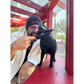 boop Beanie - Jackson Galaxy