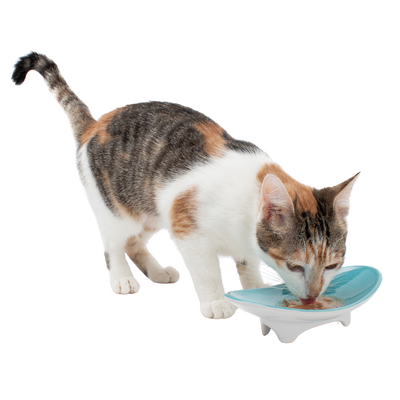Whiskerware Ceramic Oval Bowl
