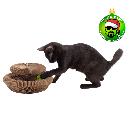 Cardboard Accordion Cat Toy