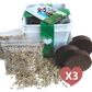 Grow Your Own Cat Grass Kits (3x) by Three Farms