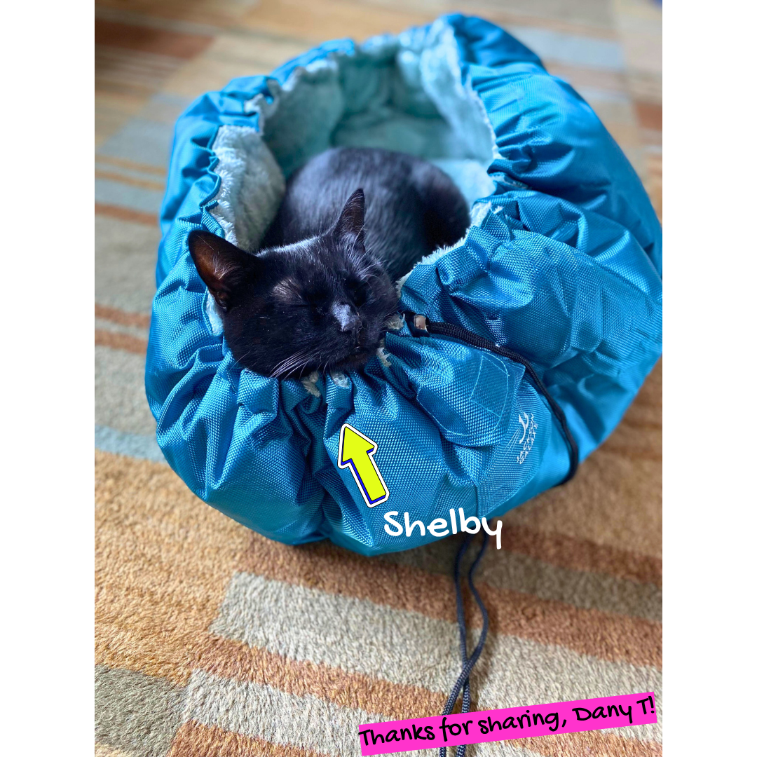 Convertible Clamshell Cat Bed