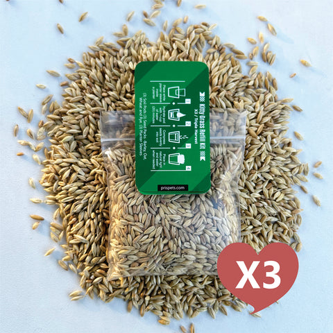 Cat Grass Seed Pack 3x (3 oz total) by Three Farms