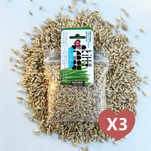 Cat Grass Seed Pack 3x (3 oz total) by Three Farms