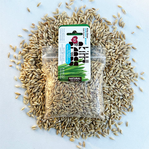 Cat Grass Seed Pack 3x (3 oz total) by Three Farms