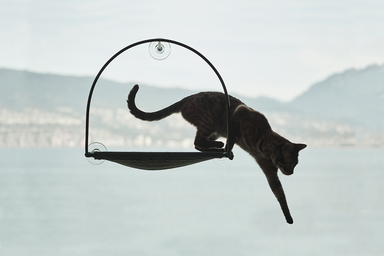 Cloud Nine Window Hammock