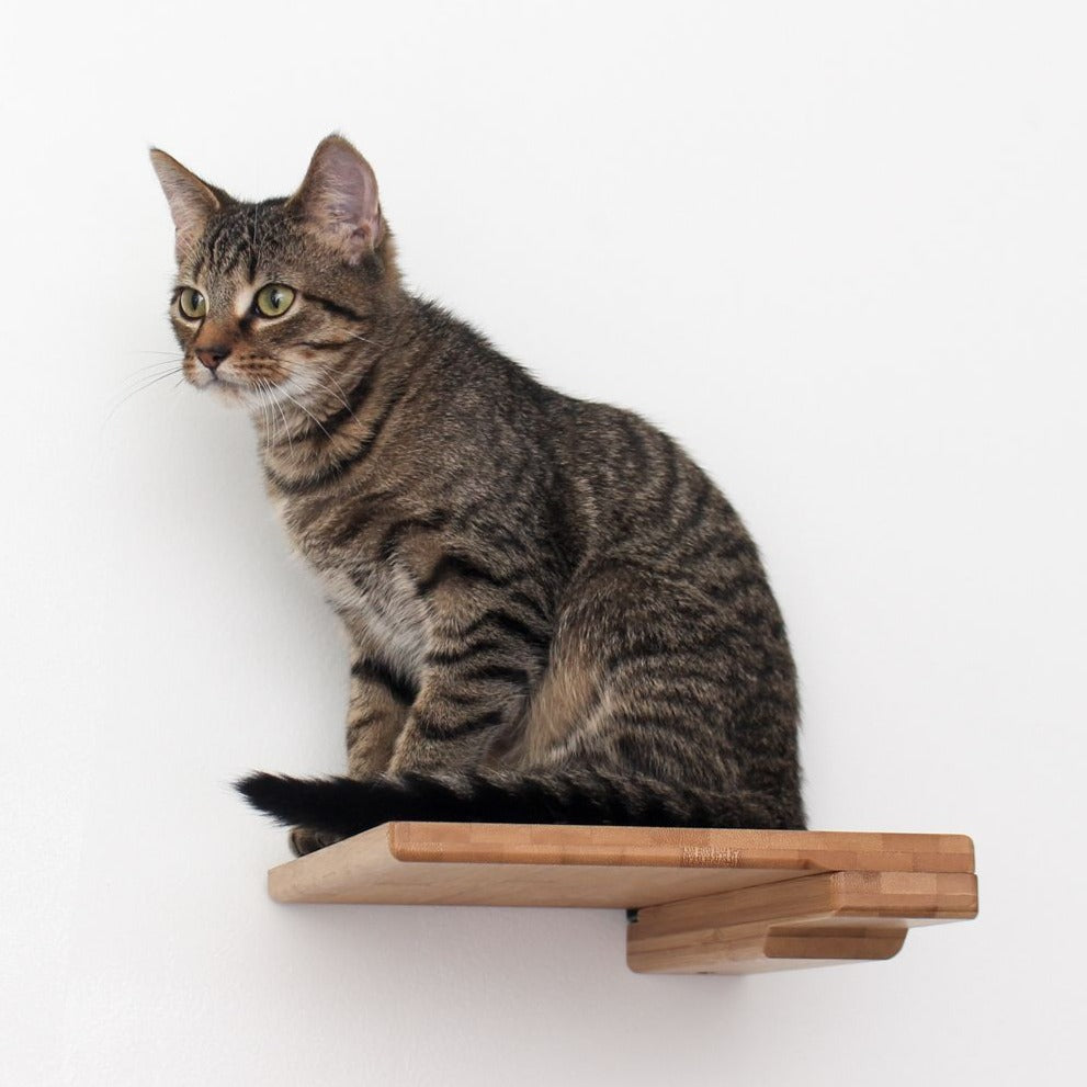Cat Climbing Shelf by Catastrophic Creations