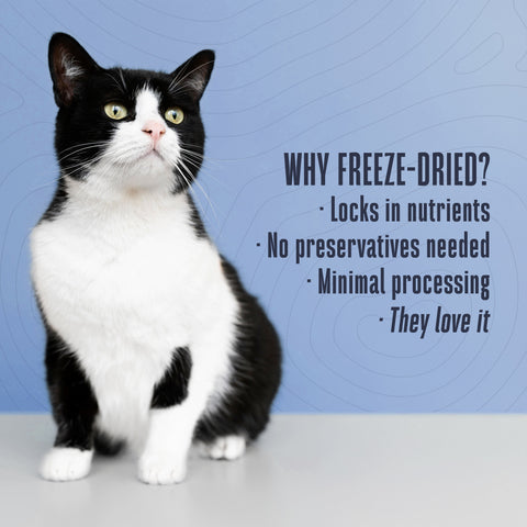 Just One Ingredient Treats For Cats by Whole Life Pet