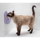 Hunt, Catch, Kill, Eat, Groom, Sleep Bundle