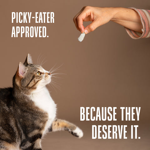 Just One Ingredient Treats For Cats by Whole Life Pet