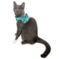 The Jackson Galaxy x Travel Cat Harness & Leash Set