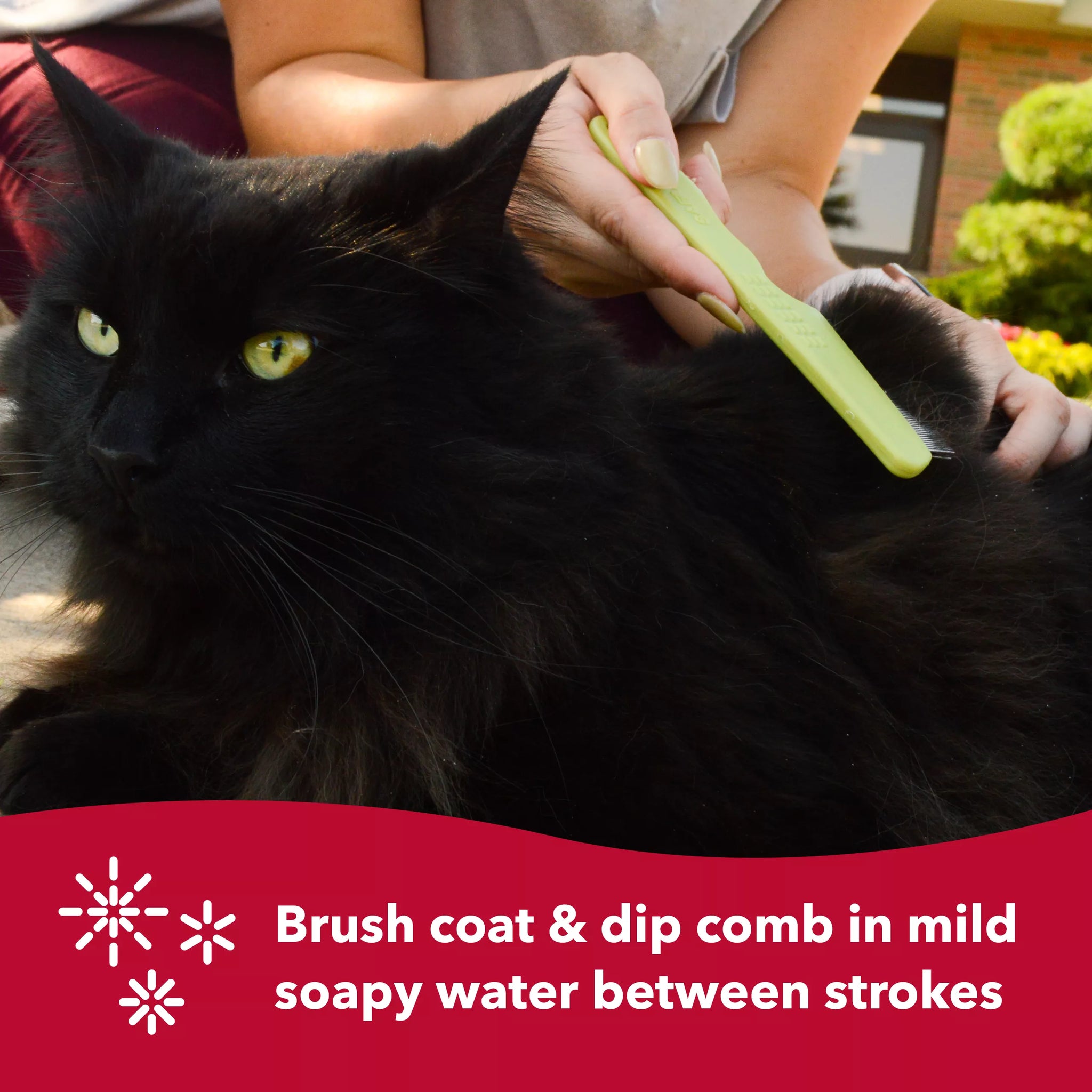 Fur Grooming Bundle for Cats