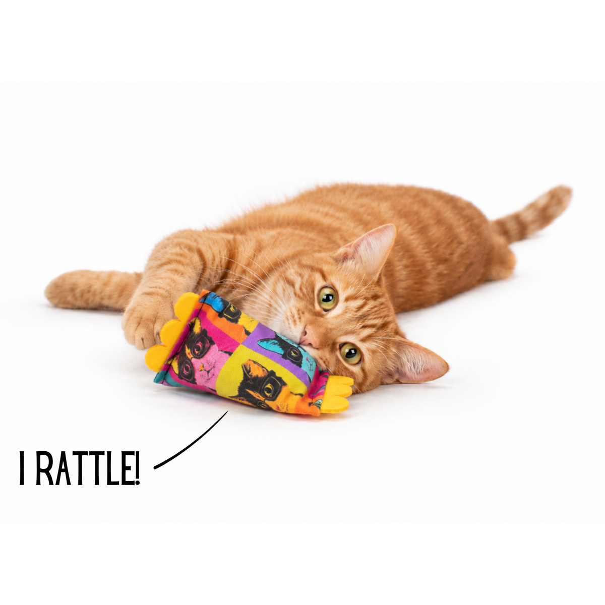 Cat Nerd Pop Art Bundle - Limited Edition Toy Collection by Jackson Galaxy